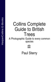 бесплатно читать книгу Collins Complete Guide to British Trees: A Photographic Guide to every common species автора Paul Sterry
