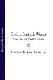 бесплатно читать книгу Collins Scottish Words: A wee guide to the Scottish language автора John Abernethy