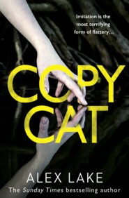 бесплатно читать книгу Copycat: The unputdownable new thriller from the bestselling author of After Anna автора Alex Lake