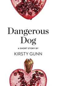 бесплатно читать книгу Dangerous Dog: A Short Story from the collection, Reader, I Married Him автора Kirsty Gunn