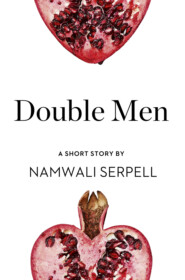 бесплатно читать книгу Double Men: A Short Story from the collection, Reader, I Married Him автора Namwali Serpell
