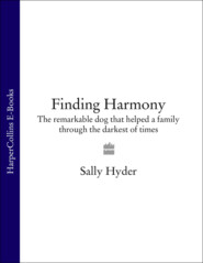 бесплатно читать книгу Finding Harmony: The remarkable dog that helped a family through the darkest of times автора Sally Hyder