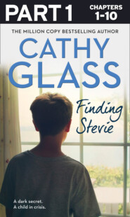 бесплатно читать книгу Finding Stevie: Part 1 of 3: A teenager in crisis автора Cathy Glass