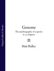 бесплатно читать книгу Genome: The Autobiography of a Species in 23 Chapters автора Matt Ridley