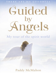 бесплатно читать книгу Guided By Angels: There Are No Goodbyes, My Tour of the Spirit World автора Paddy McMahon