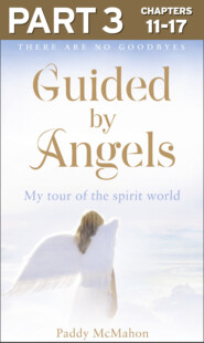 бесплатно читать книгу Guided By Angels: Part 3 of 3: There Are No Goodbyes, My Tour of the Spirit World автора Paddy McMahon