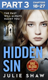 бесплатно читать книгу Hidden Sin: Part 3 of 3: When the past comes back to haunt you автора Julie Shaw
