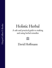 бесплатно читать книгу Holistic Herbal: A Safe and Practical Guide to Making and Using Herbal Remedies автора David Hoffmann