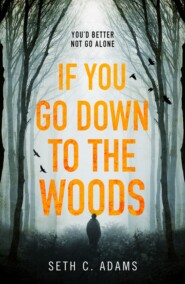 бесплатно читать книгу If You Go Down to the Woods: The most powerful and emotional debut thriller of 2018! автора Seth Adams