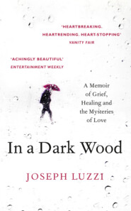 бесплатно читать книгу In a Dark Wood: What Dante Taught Me About Grief, Healing, and the Mysteries of Love автора Joseph Luzzi