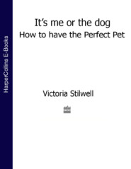 бесплатно читать книгу It’s Me or the Dog: How to have the Perfect Pet автора Victoria Stilwell