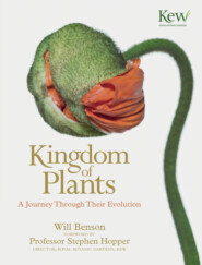 бесплатно читать книгу Kingdom of Plants: A Journey Through Their Evolution автора Will Benson