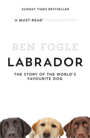 бесплатно читать книгу Labrador: The Story of the World’s Favourite Dog автора Ben Fogle