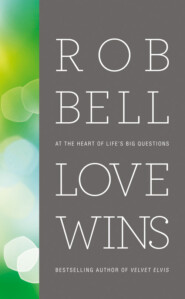 бесплатно читать книгу Love Wins: At the Heart of Life’s Big Questions автора Rob Bell