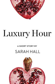 бесплатно читать книгу Luxury Hour: A Short Story from the collection, Reader, I Married Him автора Sarah Hall