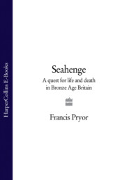 бесплатно читать книгу Seahenge: a quest for life and death in Bronze Age Britain автора Francis Pryor