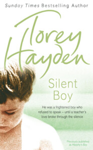 бесплатно читать книгу Silent Boy: He was a frightened boy who refused to speak – until a teacher's love broke through the silence автора Torey Hayden