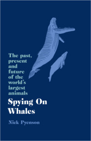 бесплатно читать книгу Spying on Whales: The Past, Present and Future of the World’s Largest Animals автора Ник Пайенсон