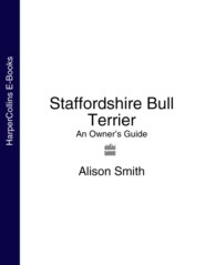 бесплатно читать книгу Staffordshire Bull Terrier: An Owner’s Guide автора Alison Smith
