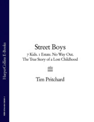 бесплатно читать книгу Street Boys: 7 Kids. 1 Estate. No Way Out. The True Story of a Lost Childhood автора Tim Pritchard