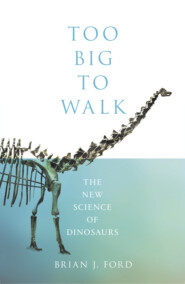 бесплатно читать книгу Too Big to Walk: The New Science of Dinosaurs автора Brian Ford