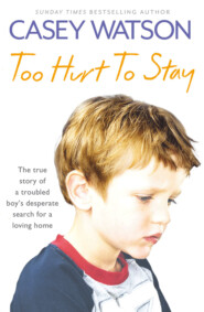 бесплатно читать книгу Too Hurt to Stay: The True Story of a Troubled Boy’s Desperate Search for a Loving Home автора Casey Watson