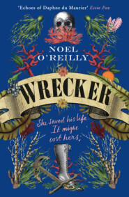 бесплатно читать книгу Wrecker: A gripping debut for fans of Poldark and the Essex Serpent автора Noel O’Reilly