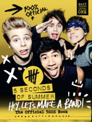 бесплатно читать книгу 5 Seconds of Summer: Hey, Let’s Make a Band!: The Official 5SOS Book автора  Коллектив авторов