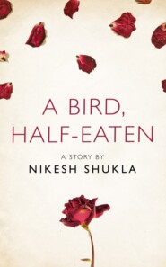 бесплатно читать книгу A bird, half-eaten: A Story from the collection, I Am Heathcliff автора Nikesh Shukla
