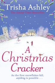 бесплатно читать книгу A Christmas Cracker: The only festive romance to curl up with this Christmas! автора Trisha Ashley