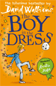 бесплатно читать книгу The Boy in the Dress автора Quentin Blake