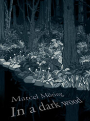 бесплатно читать книгу In A Dark Wood автора Shaun Whiteside