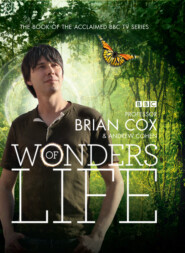 бесплатно читать книгу Wonders of Life автора Andrew Cohen