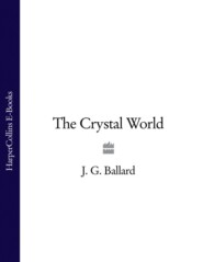 бесплатно читать книгу The Crystal World автора Robert MacFarlane