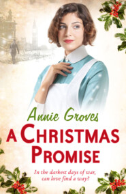 бесплатно читать книгу A Christmas Promise автора Annie Groves