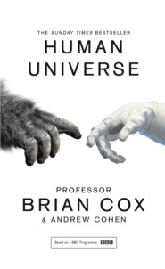 бесплатно читать книгу Human Universe автора Andrew Cohen