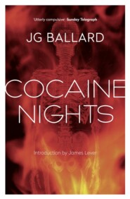 бесплатно читать книгу Cocaine Nights автора J. Ballard