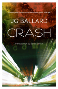 бесплатно читать книгу Crash автора Zadie Smith