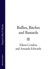 бесплатно читать книгу Bullies, Bitches and Bastards автора Eileen Condon