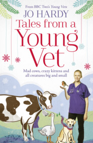 бесплатно читать книгу Tales from a Young Vet: Mad cows, crazy kittens, and all creatures big and small автора Jo Hardy