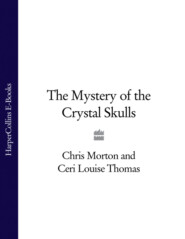 бесплатно читать книгу The Mystery of the Crystal Skulls автора Chris Morton