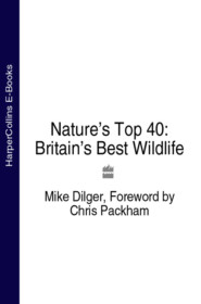 бесплатно читать книгу Nature’s Top 40: Britain’s Best Wildlife автора Chris Packham