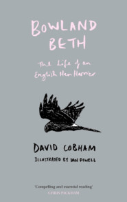 бесплатно читать книгу Bowland Beth: The Life of an English Hen Harrier автора David Cobham