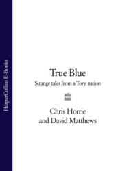 бесплатно читать книгу True Blue: Strange Tales from a Tory Nation автора David Matthews