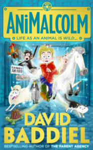 бесплатно читать книгу AniMalcolm автора David Baddiel