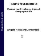 бесплатно читать книгу Healing Your Emotions: Discover your five element type and change your life автора Angela Hicks