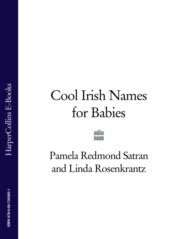 бесплатно читать книгу Cool Irish Names for Babies автора Linda Rosenkrantz