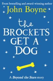 бесплатно читать книгу The Brockets Get a Dog: Beyond the Stars автора Джон Бойн