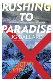 бесплатно читать книгу Rushing to Paradise автора Ривка Голчен