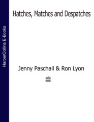 бесплатно читать книгу Hatches, Matches and Despatches автора Jenny Paschall